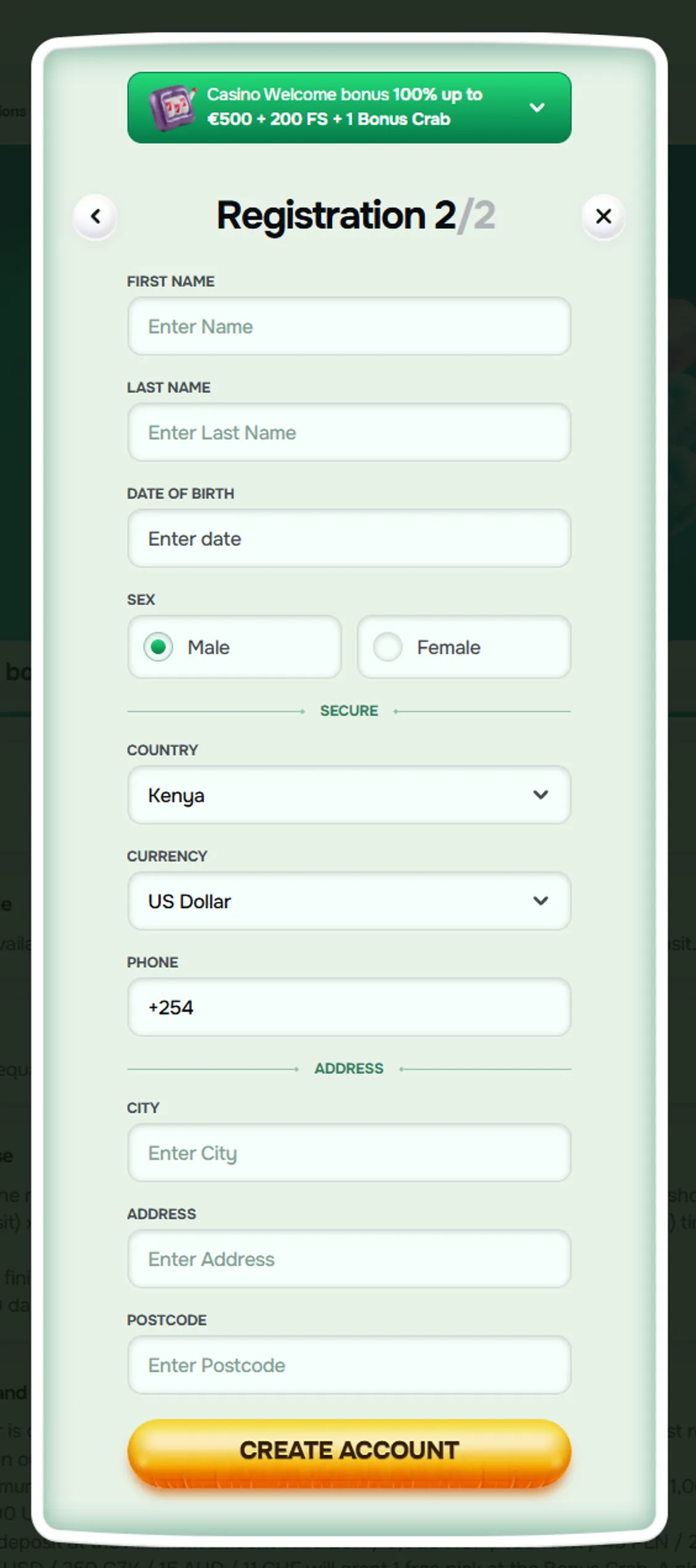 Timbet com